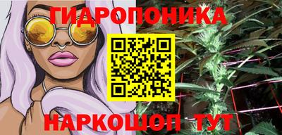 эйфоретик Обь