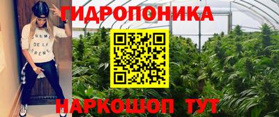 эйфоретик Обь