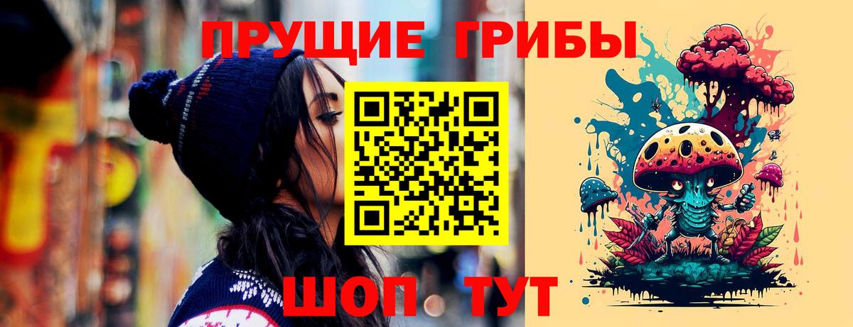 Галлюциногенные грибы Psilocybine cubensis  Вход с VPN  Галлюциногенные грибы Cubensis  Сочи 